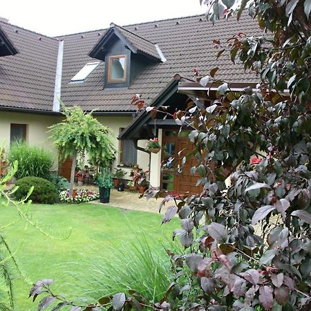 Ubytovani Zdarske Vrchy Svetnov Ngoại thất bức ảnh