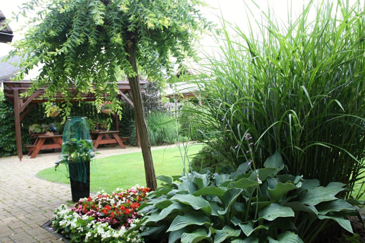 Ubytovani Zdarske Vrchy Svetnov Ngoại thất bức ảnh